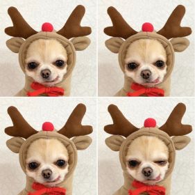 Chrimas Dog Winter Warm Clothing Cute Plush Coat Hoodies Pet Costume Jacket For Puppy Cat French Bulldog Chihuahua Small Dog Clothing (Color: Coffee, size: m)